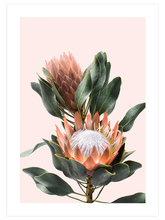 Egzotik Çiçek - Art Print